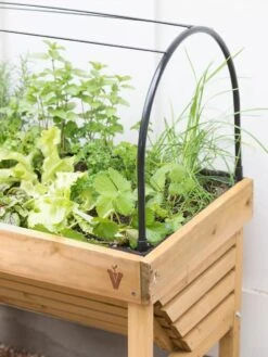 VegTrug® Mini Wallhugger Planter With Cover -Garden Pot Planter Sales Store 8598339 4004 tif