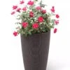 Weave Self-Watering Round Tall Planter, 12-1/2" 1 Weave Self-Watering Round Tall Planter, 12-1/2" -Garden Pot Planter Sales Store 8598371 3000 tif