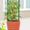 Gardener’s Victory Self-Watering Planter With Support System -Garden Pot Planter Sales Store 8598384 6012 tif