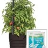Gardener’s Victory Self-Watering Planter Garden Kit 1 Gardener’s Victory Self-Watering Planter Garden Kit -Garden Pot Planter Sales Store 8598389 5000 tif