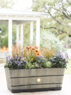 VegTrug™ Trough Planters -Garden Pot Planter Sales Store 8598402 08880 tif