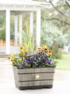 VegTrug™ Trough Planters -Garden Pot Planter Sales Store 8598403 08876 tif