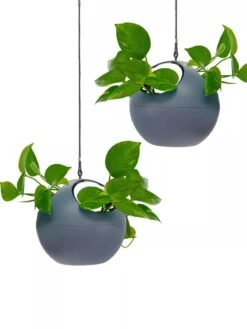 Exaco Euro Hanging Planters, Set Of 2 9 Exaco Euro Hanging Planters, Set Of 2 -Garden Pot Planter Sales Store 8599179 04V tif
