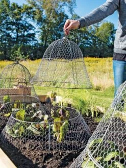 Chicken Wire Cloche With Extension 19 Chicken Wire Cloche With Extension -Garden Pot Planter Sales Store 8600116 0604 3 4