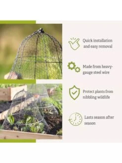 Chicken Wire Cloche With Extension 17 Chicken Wire Cloche With Extension -Garden Pot Planter Sales Store 8600116 3