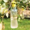 Bottle Insect Traps, Set Of 6 -Garden Pot Planter Sales Store 8600119 0532 tif