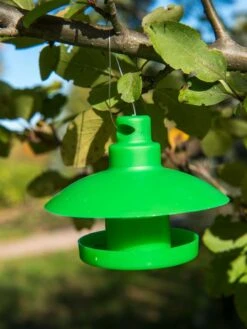 Slug And Snail Traps, Set Of 3 -Garden Pot Planter Sales Store 8600120 1792