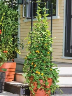 Gardener’s Victory Self-Watering Planter Garden With Vine Trellis -Garden Pot Planter Sales Store 8600175 0733 tif 1
