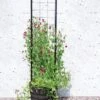 Gardener’s Victory Self-Watering Planter With Vine Trellis -Garden Pot Planter Sales Store 8600177 05490 tif