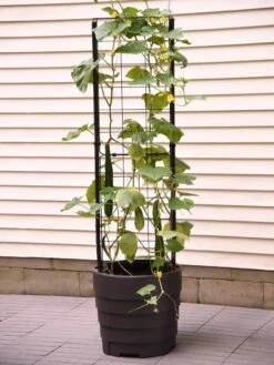 Gardener’s Victory Self-Watering Planter With Vine Trellis -Garden Pot Planter Sales Store 8600177 9876 tif