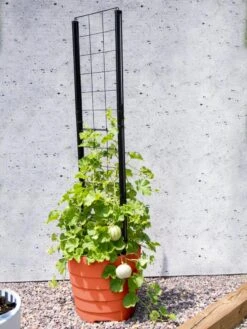 Gardener’s Victory Self-Watering Planter Garden With Vine Trellis -Garden Pot Planter Sales Store 8600178 05487 tif