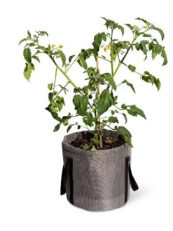 Reinforced Colorful Grow Bags -Garden Pot Planter Sales Store 8600229 0944 tif