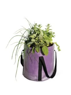 Reinforced Colorful Grow Bags -Garden Pot Planter Sales Store 8600230 0948 tif