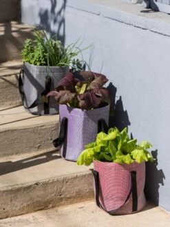 Reinforced Colorful Grow Bags -Garden Pot Planter Sales Store 8600230 20001 tif