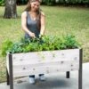 Self-Watering Eco-Stained Elevated Planter Box, 2' X 4' -Garden Pot Planter Sales Store 8608961 5040 tif