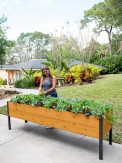 Self-Watering Eco-Stained Elevated Planter Box, 2' X 8' -Garden Pot Planter Sales Store 8608965 6069 tif