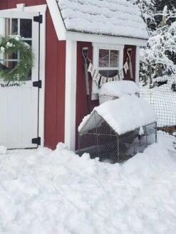 Chicken Wire Crop Coop 24 Chicken Wire Crop Coop -Garden Pot Planter Sales Store 8609080 03IN tif