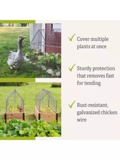 Chicken Wire Crop Coop 17 Chicken Wire Crop Coop -Garden Pot Planter Sales Store 8609080 2