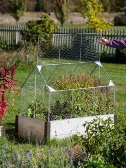 Chicken Wire Crop Coop 21 Chicken Wire Crop Coop -Garden Pot Planter Sales Store 8609080 4024