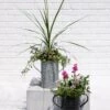 Metal Bucket Planters 1 Metal Bucket Planters -Garden Pot Planter Sales Store 8609086 5623 tif