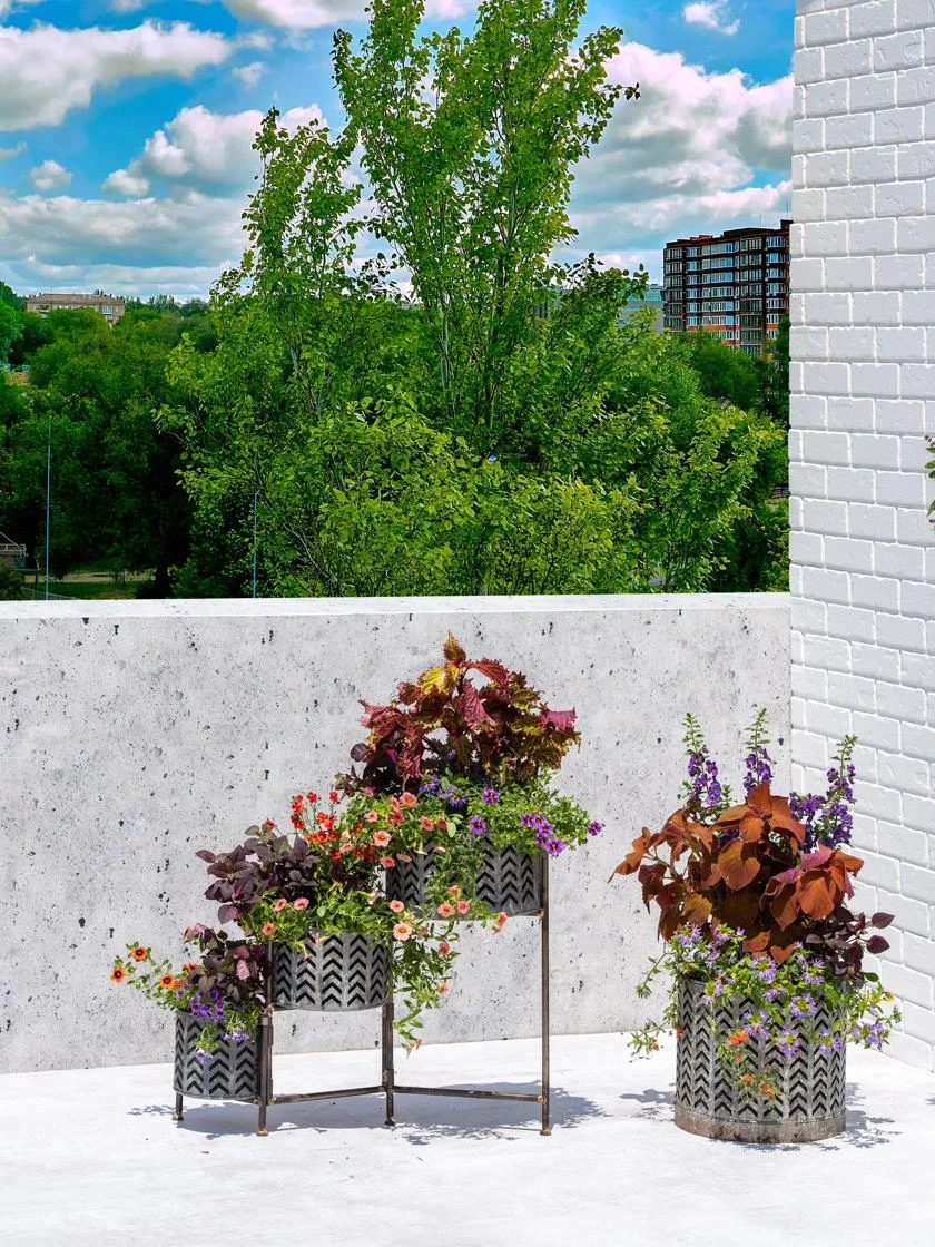 Galvanized Grow Bag Triple Planters With Stand 8 Galvanized Grow Bag Triple Planters With Stand - Image 6