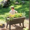 Calipso 3-in-1 Kids Gardening Self-Watering Planter Kit -Garden Pot Planter Sales Store 8609217 0333 tif