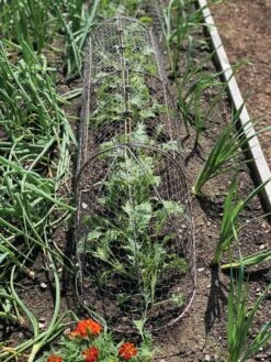 Chicken Wire Row Cloche Expandable Extra Large 3N1 -Garden Pot Planter Sales Store 8609412 5903 tif