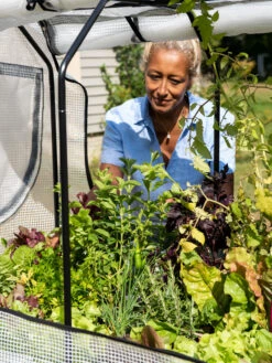 VegTrug®Patio Garden Greenhouse Cover Kit -Garden Pot Planter Sales Store 8610172 1256