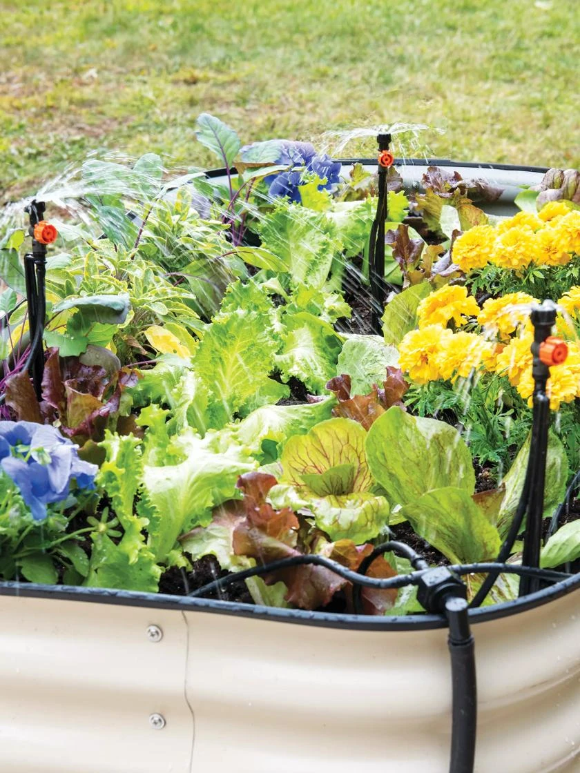 Raised Bed Bubblers Irrigation Kit 3 Raised Bed Bubblers Irrigation Kit