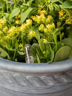 Adjustable Self-Watering Insert For Pots And Planters 21 Adjustable Self-Watering Insert For Pots And Planters -Garden Pot Planter Sales Store 8610250 0010 tif