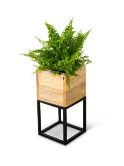 Tartu Elevated Square Planters -Garden Pot Planter Sales Store 8611004 038