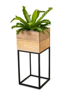 Tartu Elevated Square Planters -Garden Pot Planter Sales Store 8611005 036