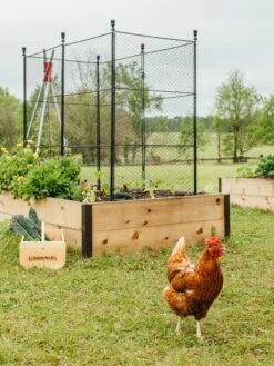 Tall Chicken Wire Critter Fence With Gate -Garden Pot Planter Sales Store 8611020 316 tif