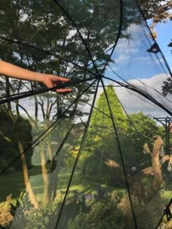 GardenSkill Pop N Crop Plant Umbrella -Garden Pot Planter Sales Store 8611105 09V tif