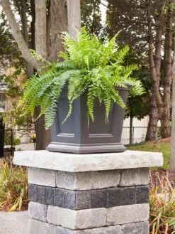 Fairfield Self-Watering Square Planter, 16” X 16” -Garden Pot Planter Sales Store 8611695 06V tif