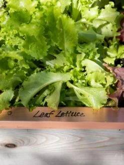 Re-Markable Raised Bed Trim 12 Re-Markable Raised Bed Trim -Garden Pot Planter Sales Store 8611757 326 tif