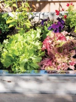 Re-Markable Raised Bed Trim 13 Re-Markable Raised Bed Trim -Garden Pot Planter Sales Store 8611758 306 tif