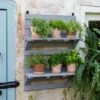 VegTrug® Herb Rack -Garden Pot Planter Sales Store 8611930 6402 tif