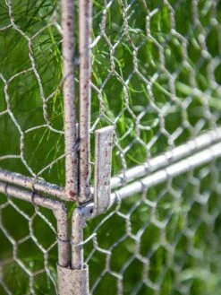 Chicken Wire Crop Coop Extension -Garden Pot Planter Sales Store 8611940 232 tif