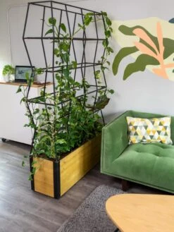 Self-Watering Partition Planter 10 Self-Watering Partition Planter -Garden Pot Planter Sales Store 8611952 001 tif