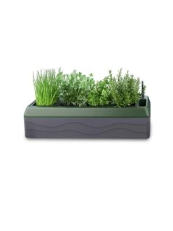 Provence Self-Watering Herb Planter -Garden Pot Planter Sales Store 8611965 03V tif