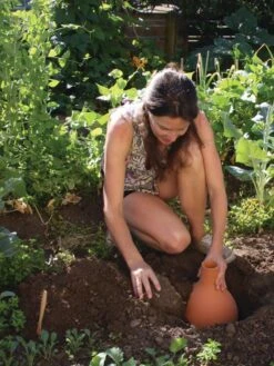 Hydro Max Watering System 11 Hydro Max Watering System -Garden Pot Planter Sales Store 8611967 15V tif