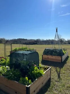 Pest Control Pop-Ups 15 Pest Control Pop-Ups -Garden Pot Planter Sales Store 8611989 05 tif