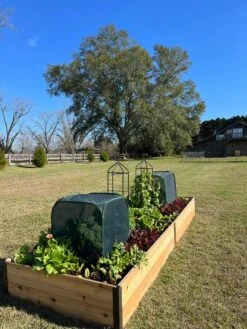 Pest Control Pop-Ups 14 Pest Control Pop-Ups -Garden Pot Planter Sales Store 8611989 08 tif