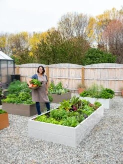 Somerset Metal Raised Beds, As Is -Garden Pot Planter Sales Store 8612020 0016 tif