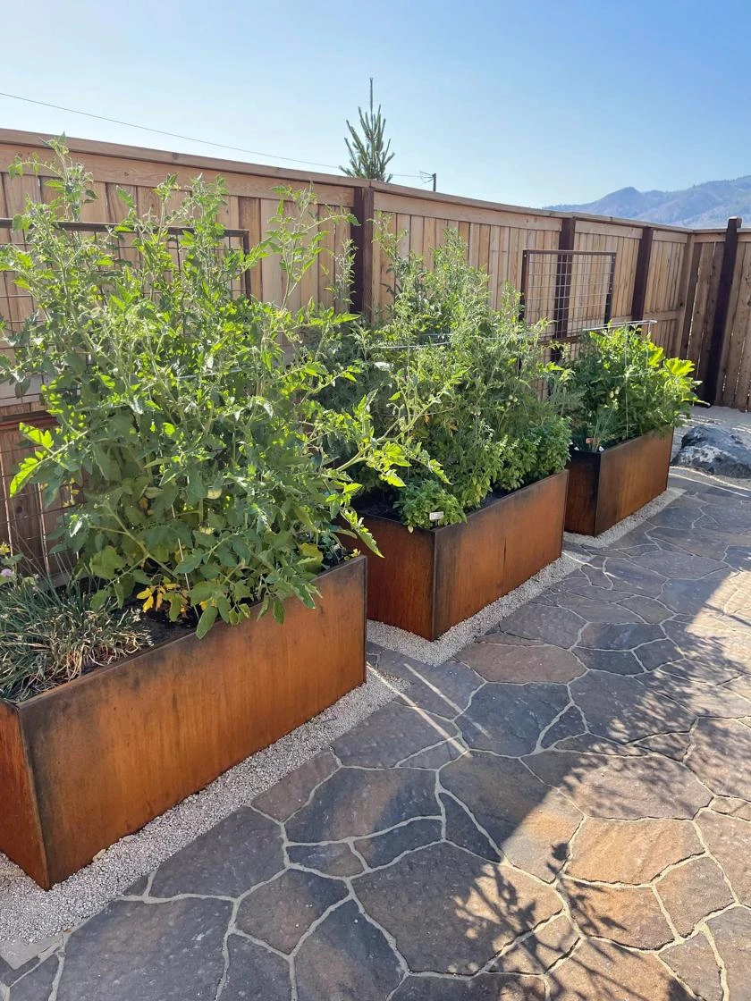Nice Corten Trough Planters With Trellis 3 Nice Corten Trough Planters With Trellis