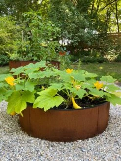 Birdies™ Corten Steel Round Raised Beds -Garden Pot Planter Sales Store 8612422 0484 tif