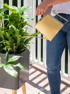 Precision Brass Watering Can -Garden Pot Planter Sales Store 8612691 0011 1