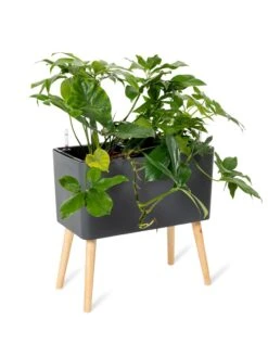 Ava Self-Watering Rectangular Planter -Garden Pot Planter Sales Store 8612691 0013