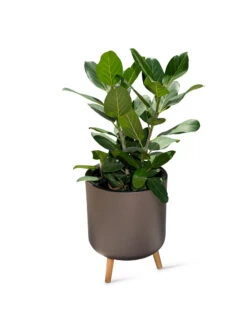 Ava Self-Watering Round Planter -Garden Pot Planter Sales Store 8612692 0003
